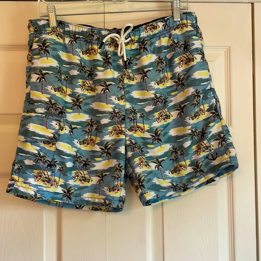 Swim Trunks Bathing Suit Paisley & Gray Mens Swim Trunks.